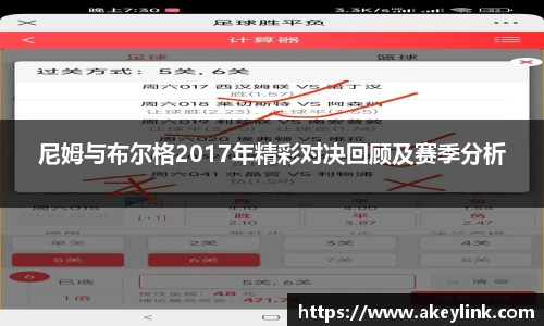 尼姆与布尔格2017年精彩对决回顾及赛季分析